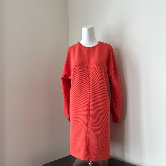 Icône ⎮ NWT long sleeve dress - Picture 2 of 10
